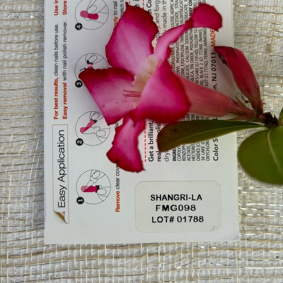 COLOR STREET Bundle. - Picture 11 of 11